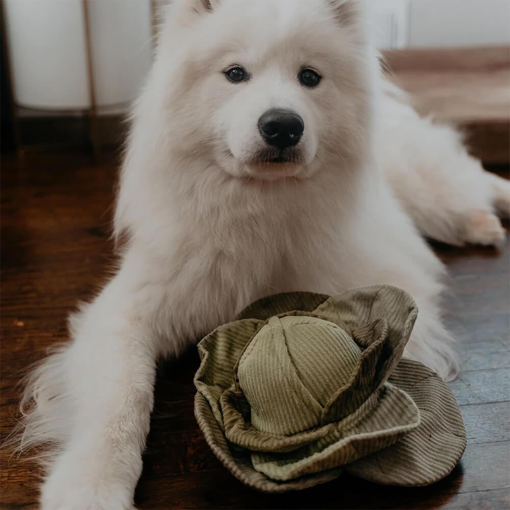 Lambwolf Collective - LARGE CABBAGE POP (26 cm)