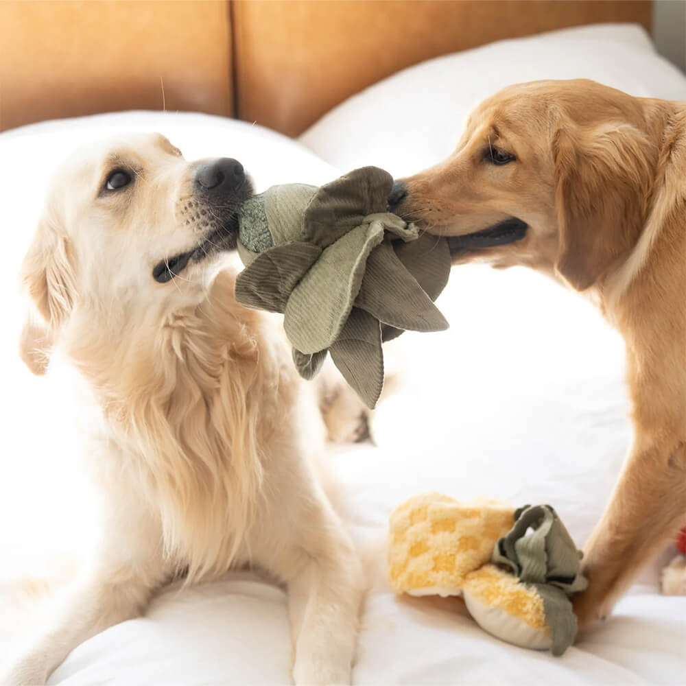 Lambwolf Collective - LARGE CABBAGE POP (26 cm)