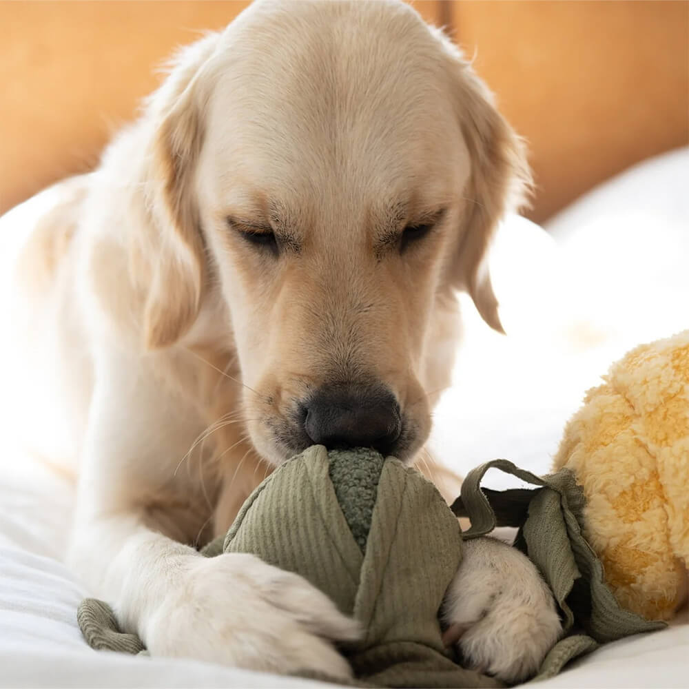 Lambwolf Collective - LARGE CABBAGE POP (26 cm)