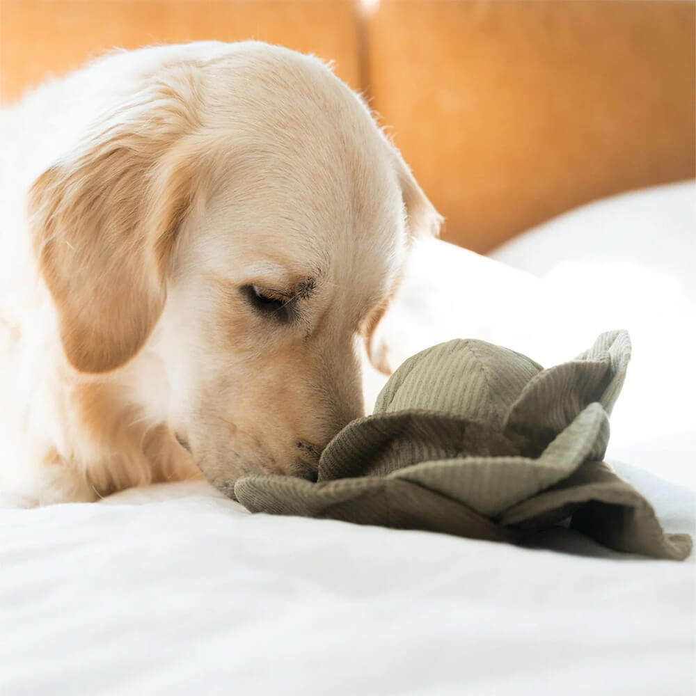 Lambwolf Collective - LARGE CABBAGE POP (26 cm)