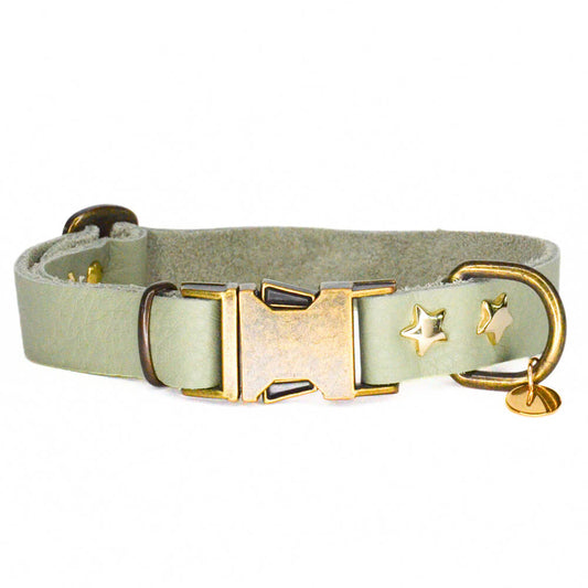 Rockxdogs - Leren halsband A star is born! - Pistache
