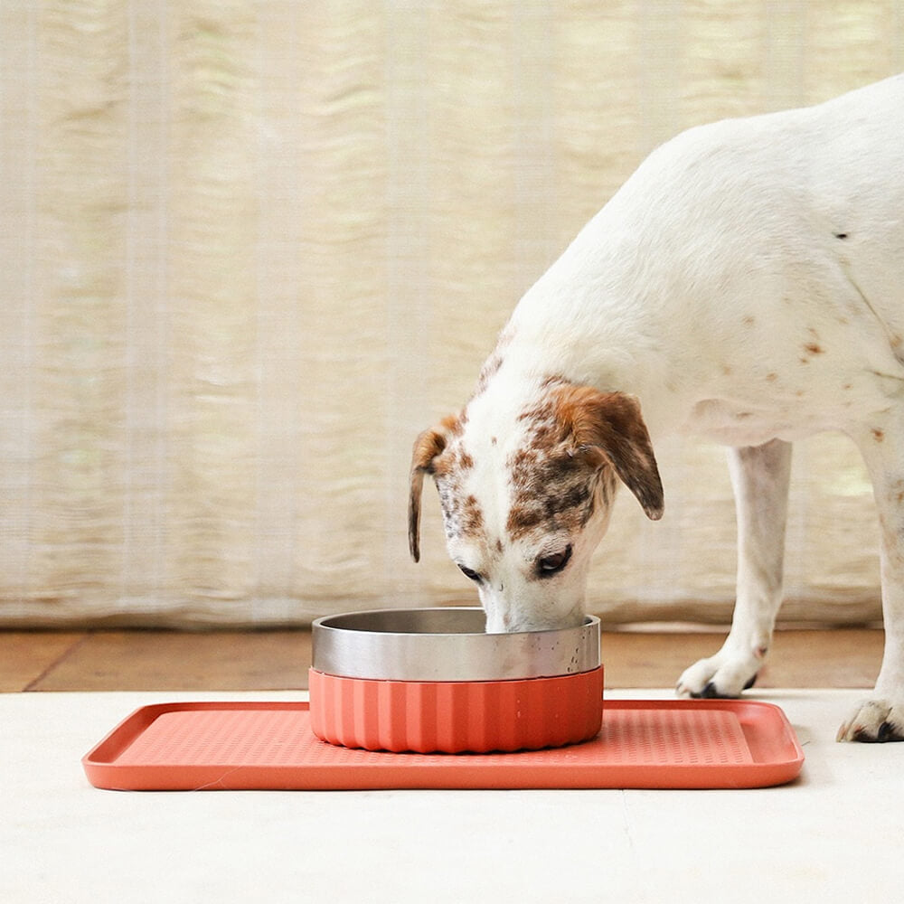 Zee.Dog - Zee.Mat Voerbak mat Clay