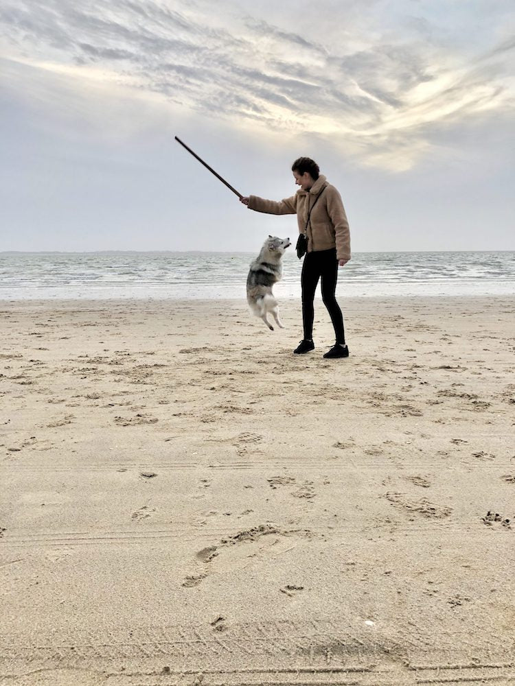 Geusje op Rockanje strand