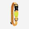 Zee.Dog - Halsband Fuse Bikr