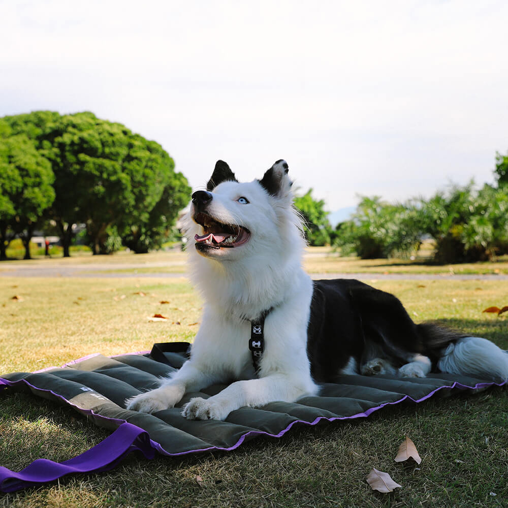Zee.Dog - Air.Mat