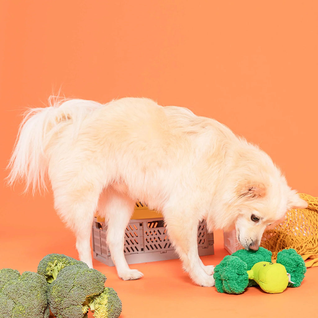 The Furryfolks - Broccoli (23 cm)