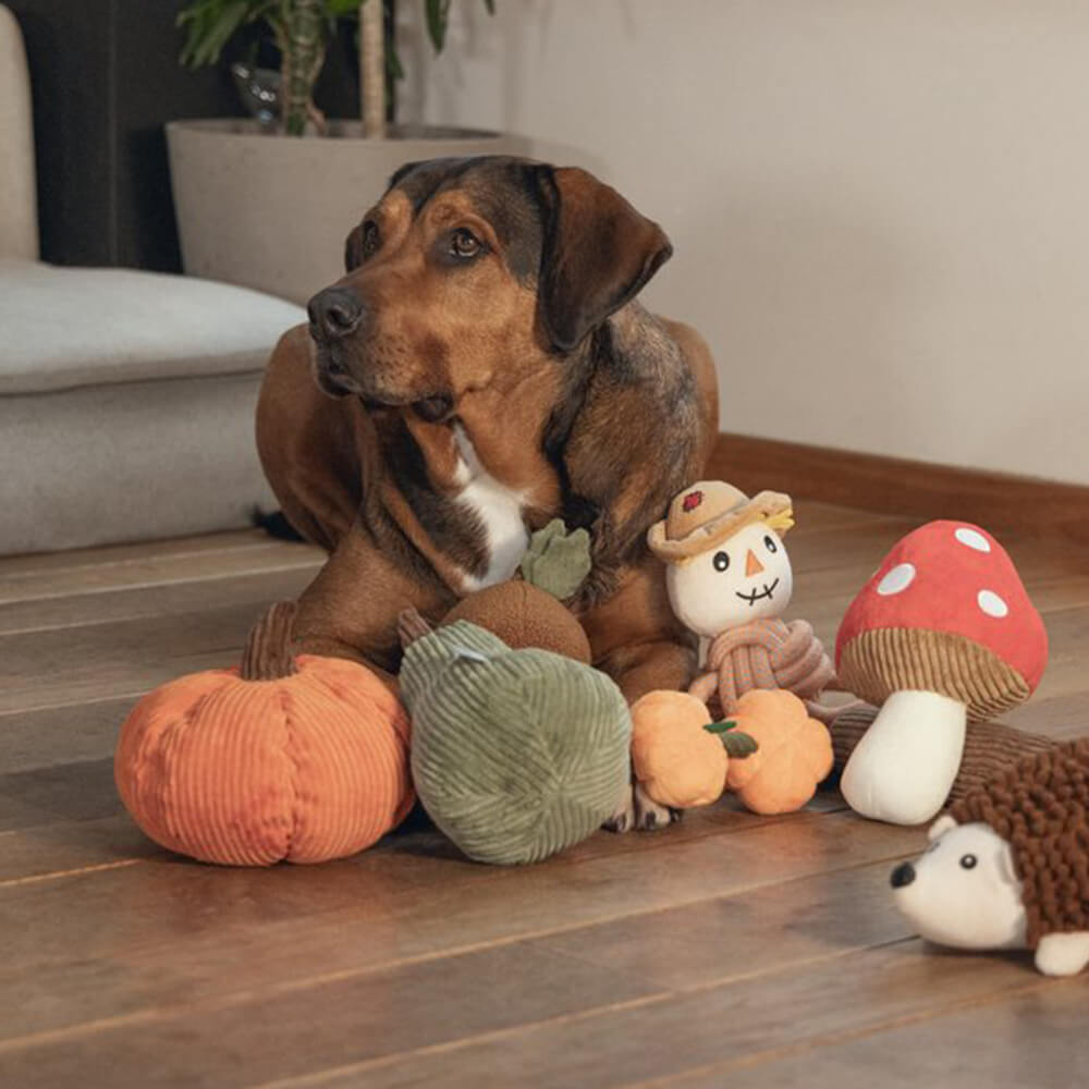 Beeztees - Pompoen Petar (21 cm)