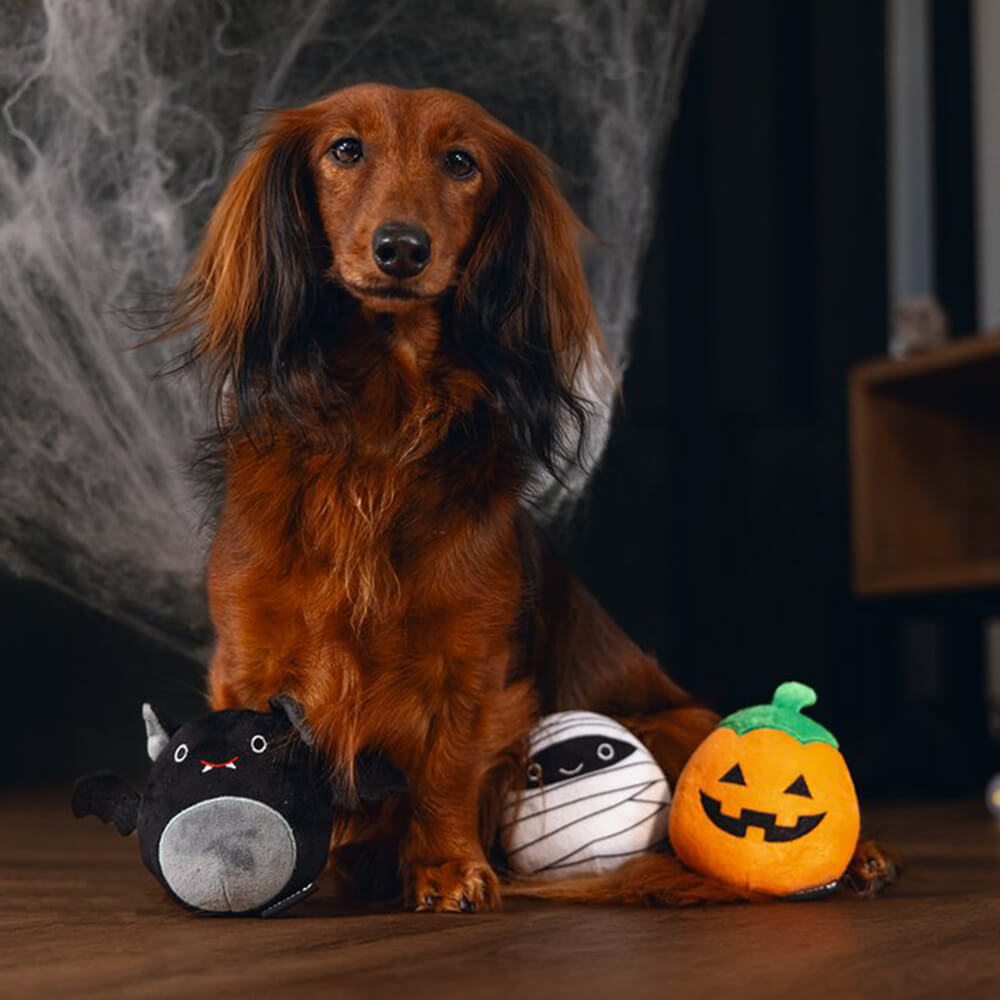 Beeztees - Halloween Trick or Treat - Pompoen (10 cm)