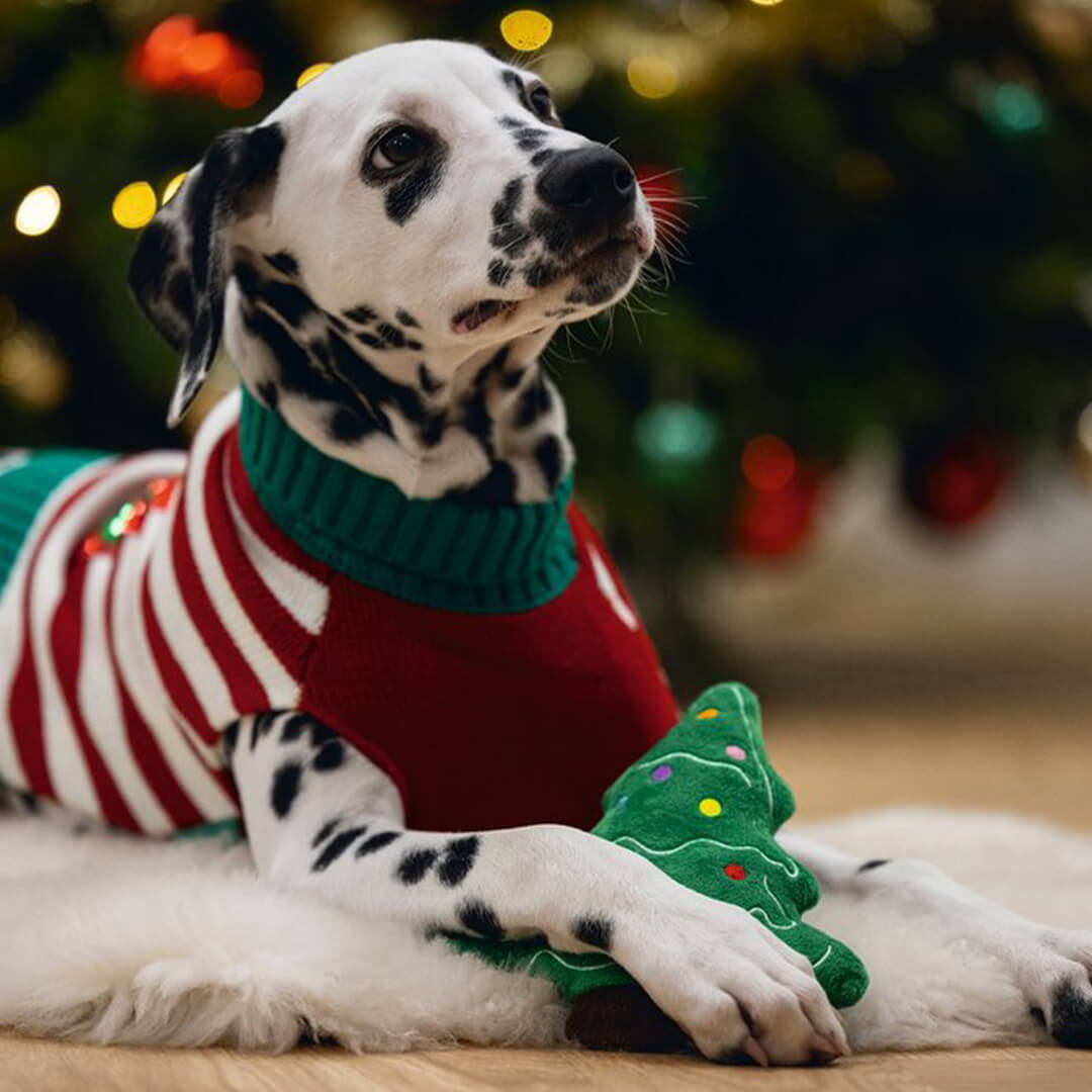 Beeztees - Kerstboom Noel (20 cm)