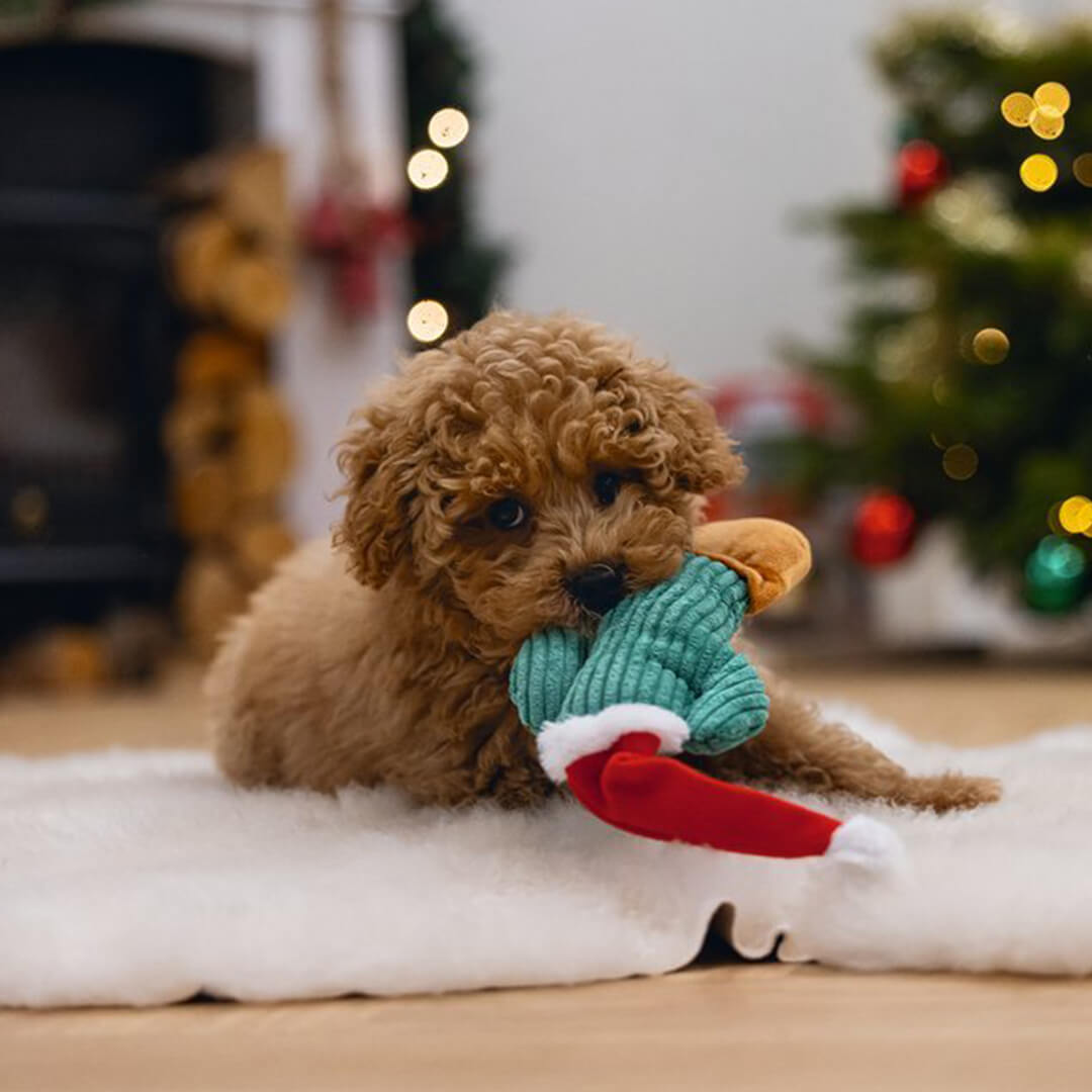 Beeztees - Kerstcactus (22 cm)