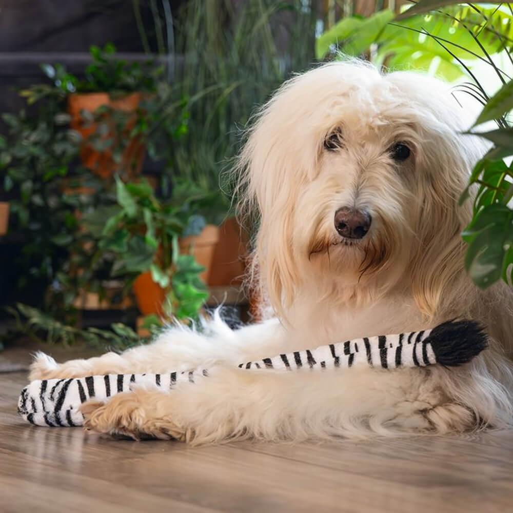 Beeztees - Jungle Zebra Staart (50 cm)