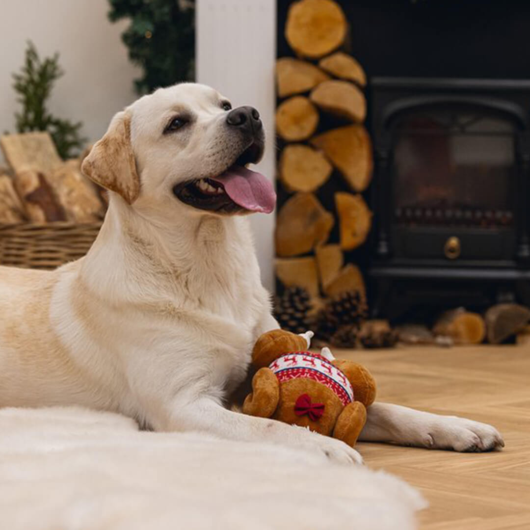 Beeztees - Kerstkalkoen (30 cm)