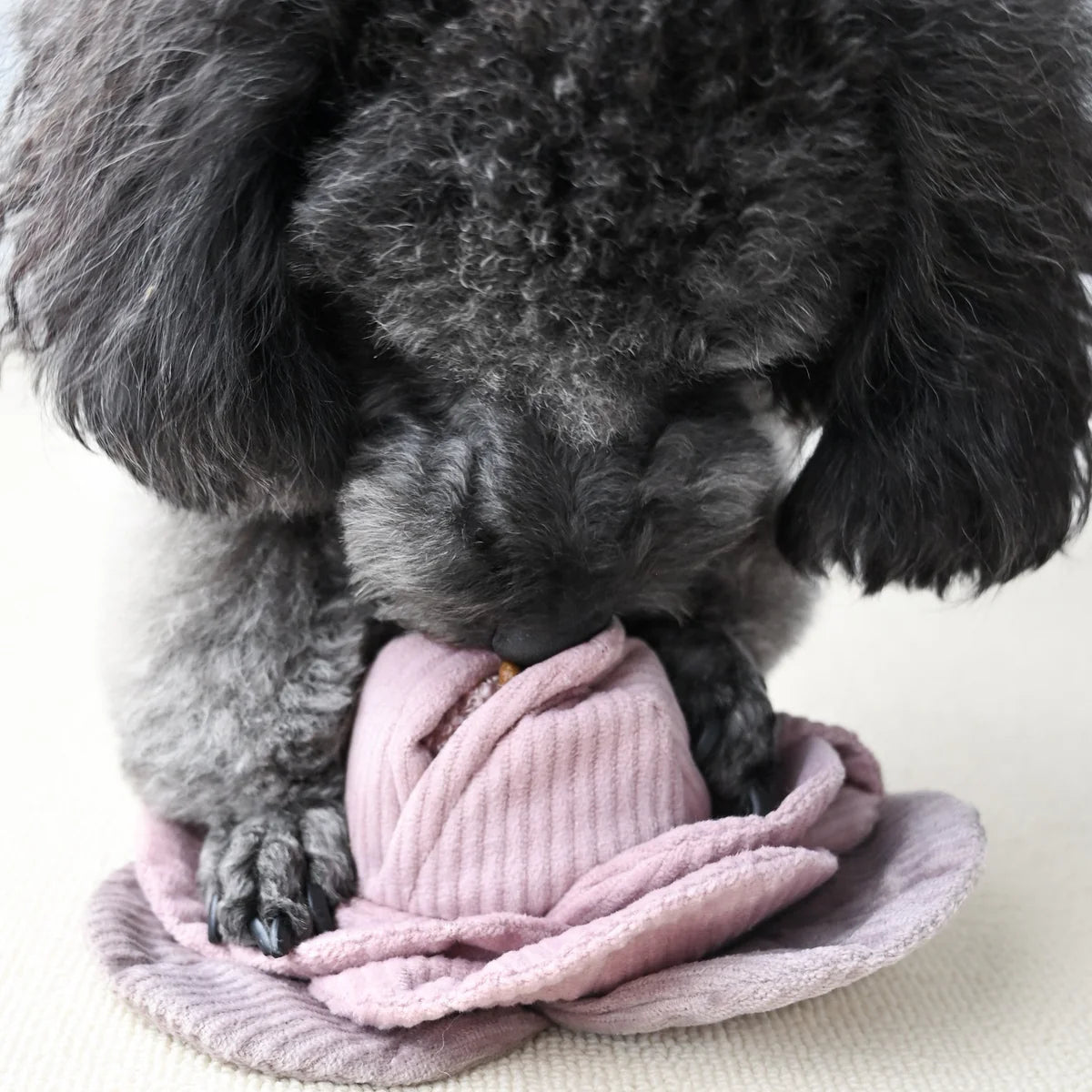 Lambwolf Collective - Boerenmarktset - 5 speeltjes