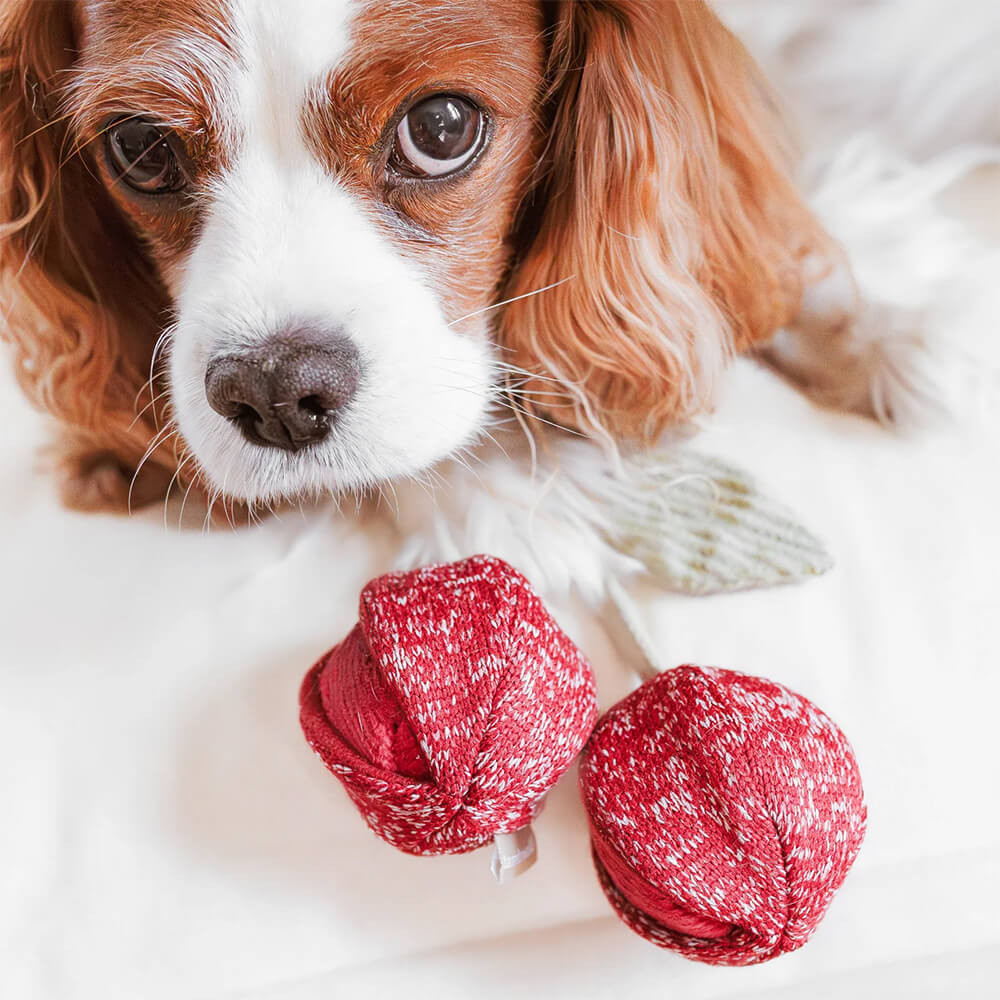 Lambwolf Collective - CHERRY POP (8 cm)