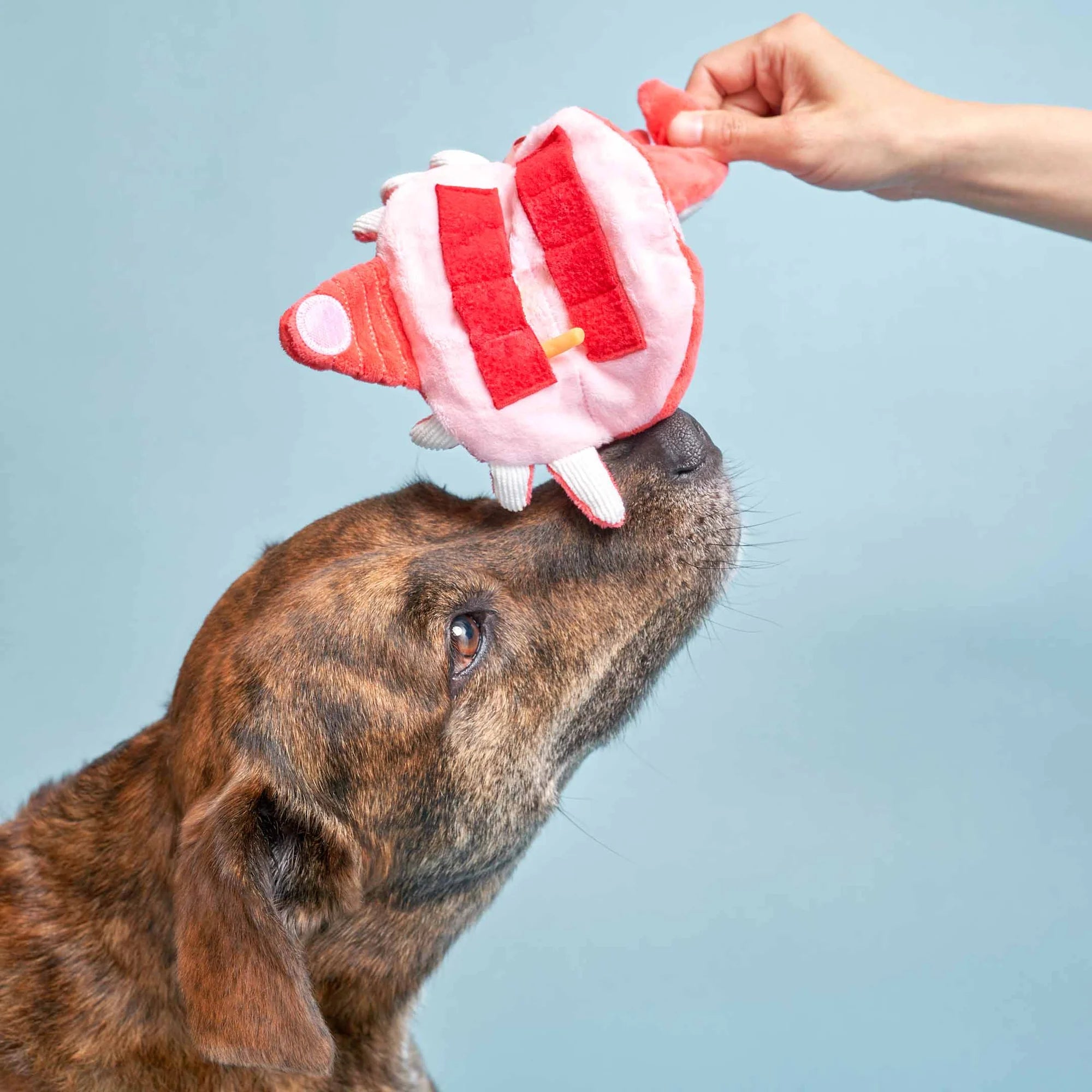 The Furryfolks - Crab (18 cm)