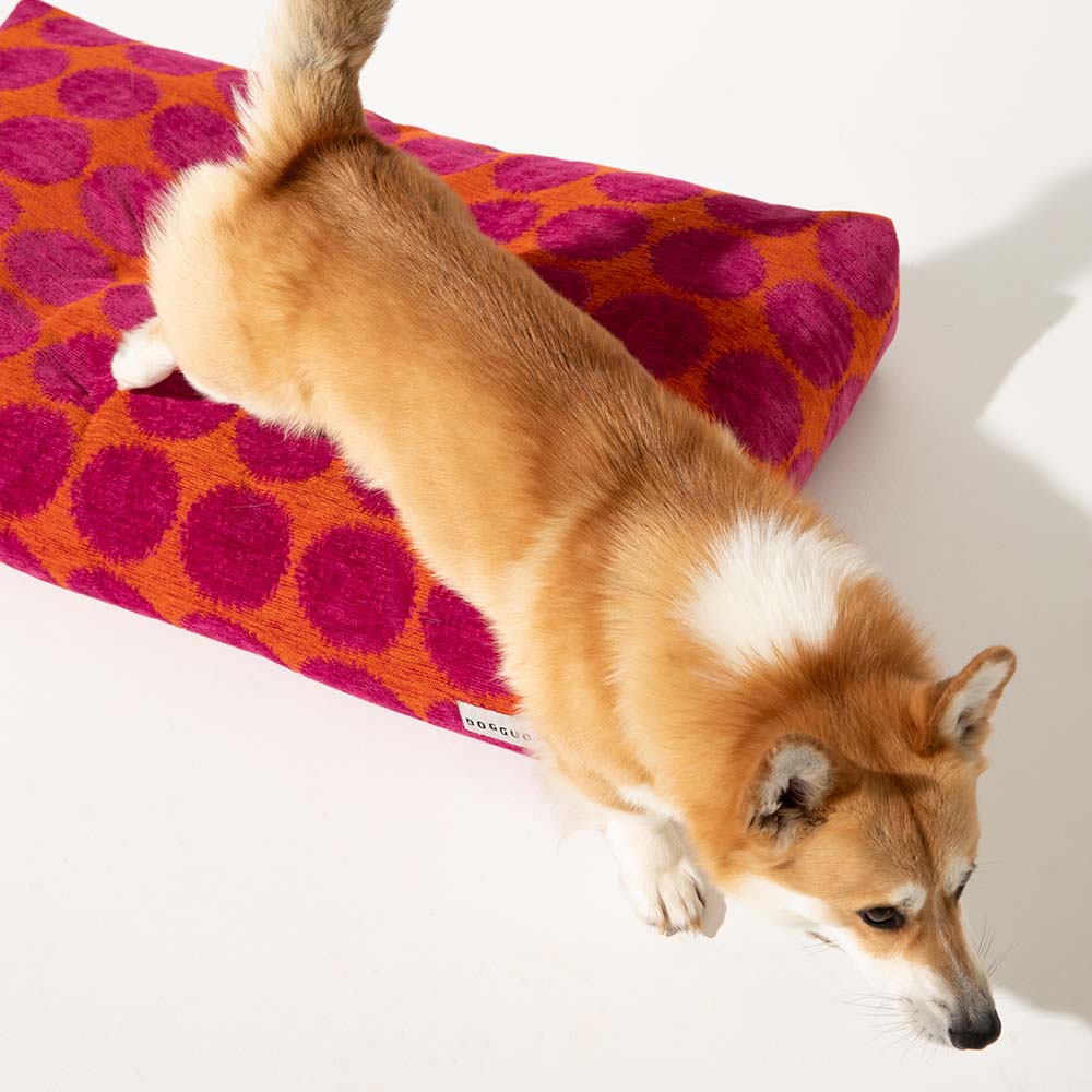 DOGGUO - Dot Dog Bed - Orange/Magenta