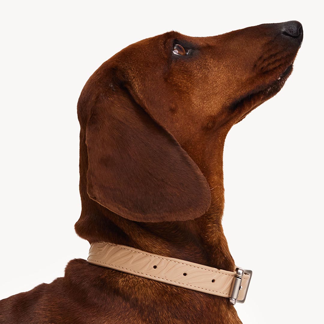 DOGGUO - Vegan Leather Collar - Zebra - Beige