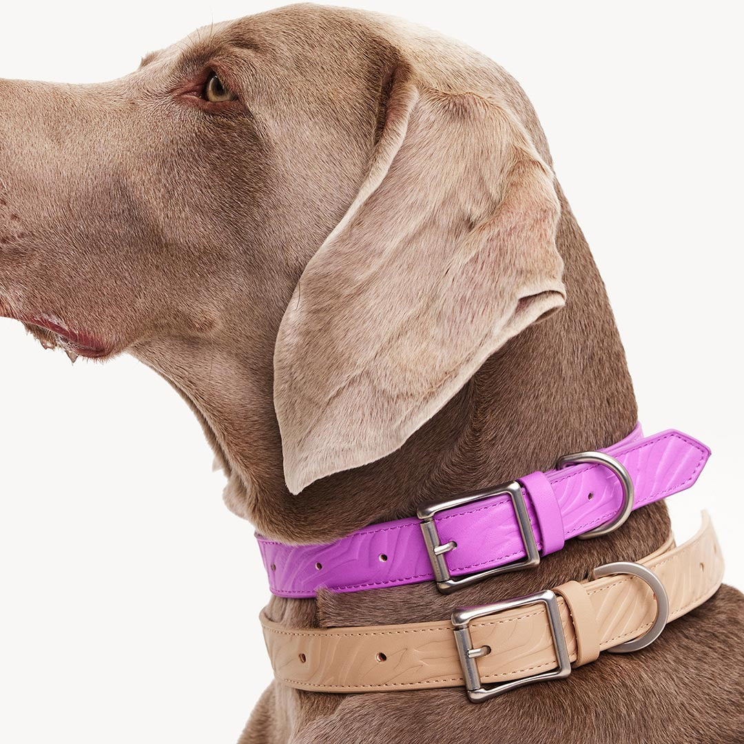 DOGGUO - Vegan Leather Collar - Zebra - Beige