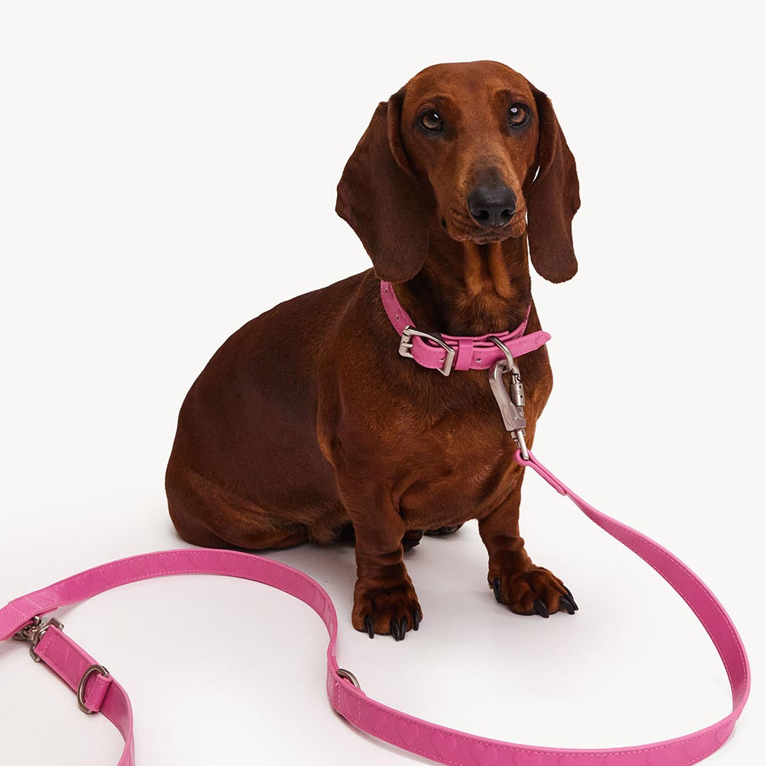 DOGGUO - Vegan Leather Leash - Heart - Pink