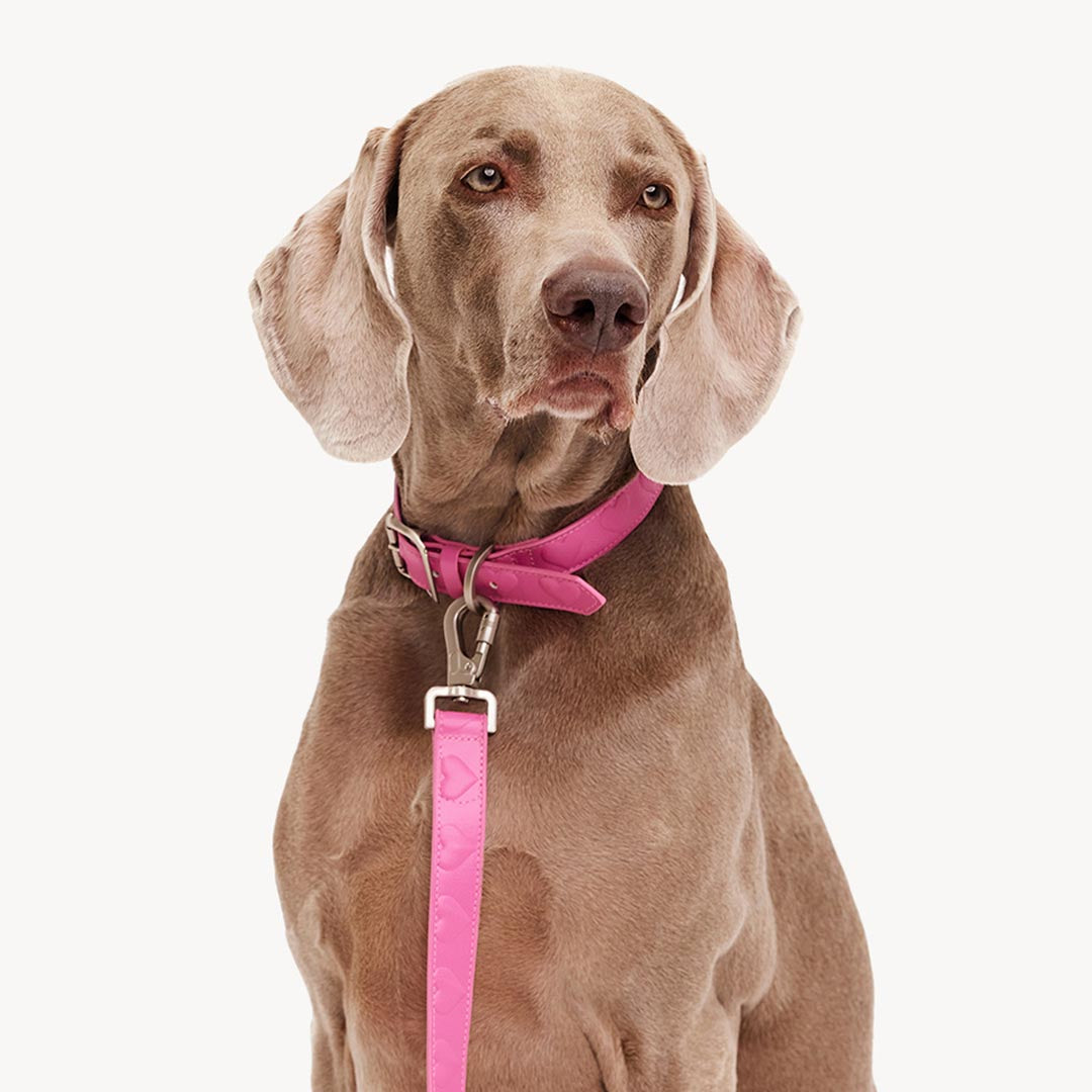 DOGGUO - Vegan Leather Leash - Heart - Pink