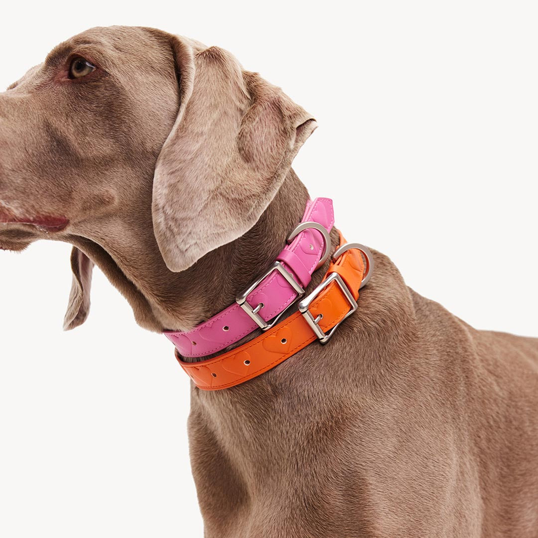 DOGGUO - Vegan Leather Collar - Heart - Orange