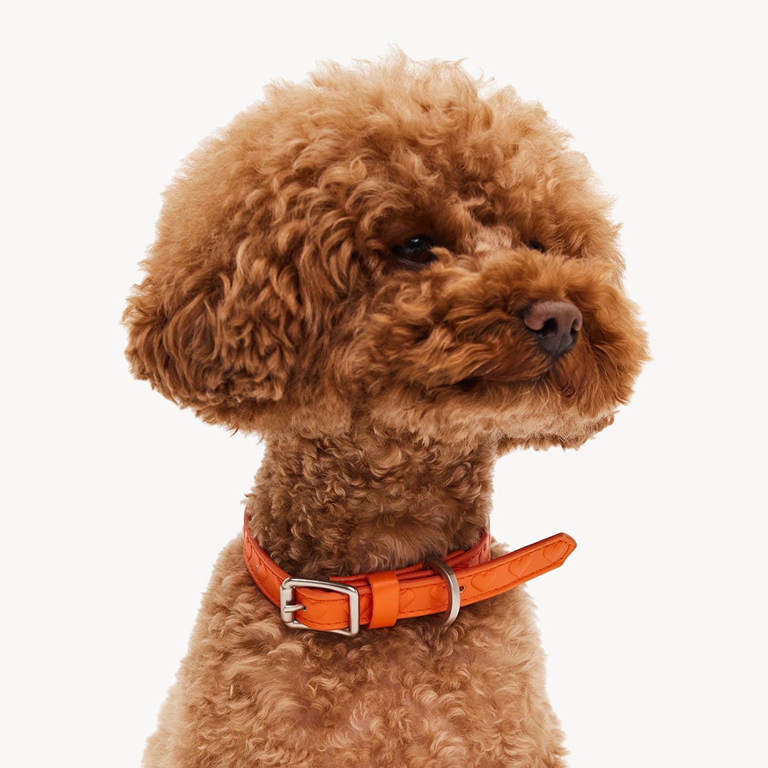 DOGGUO - Vegan Leather Collar - Heart - Orange