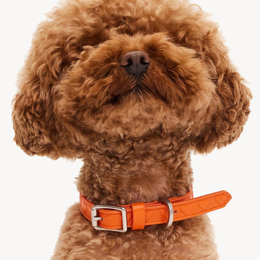 DOGGUO - Vegan Leather Collar - Heart - Orange