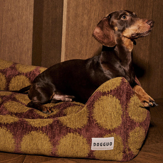 DOGGUO - Stip sofa hondenmand - Bruin/Groen