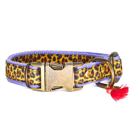 Rockxdogs - Halsband Go Wild! - Boho Yellow Panter