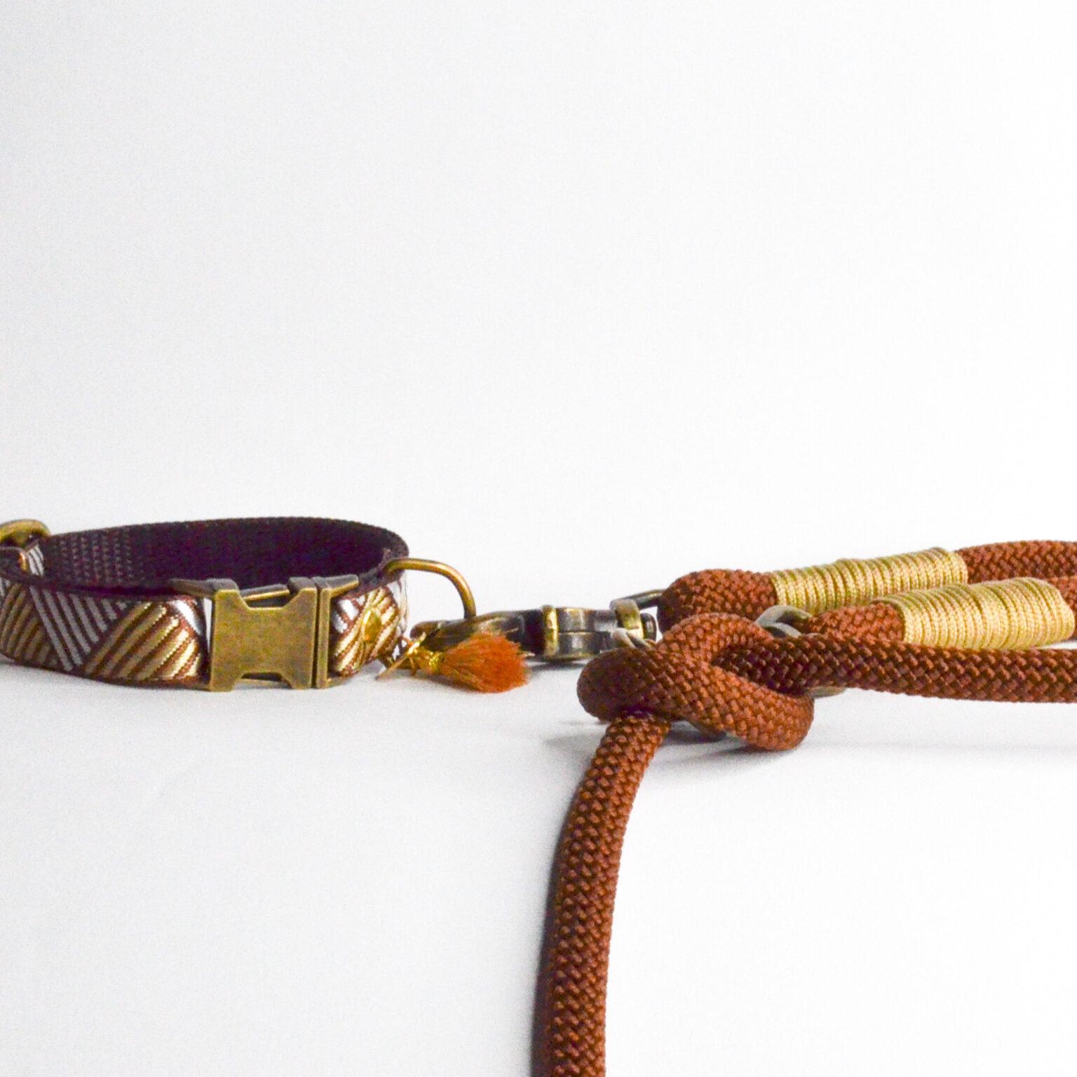 Rockxdogs - Halsband Ziggy