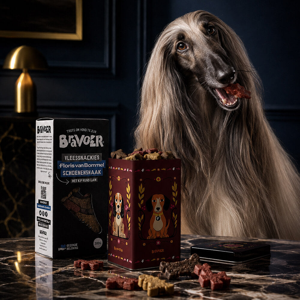 BRAVOER x Floris van Bommel Hondensnackies in bewaarblik