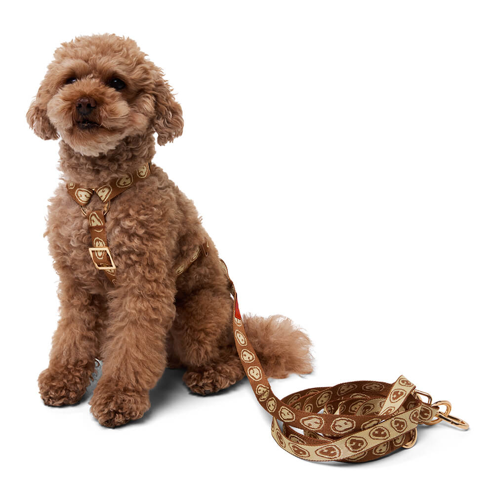 Furmey - Handsfree leash Latte Brown