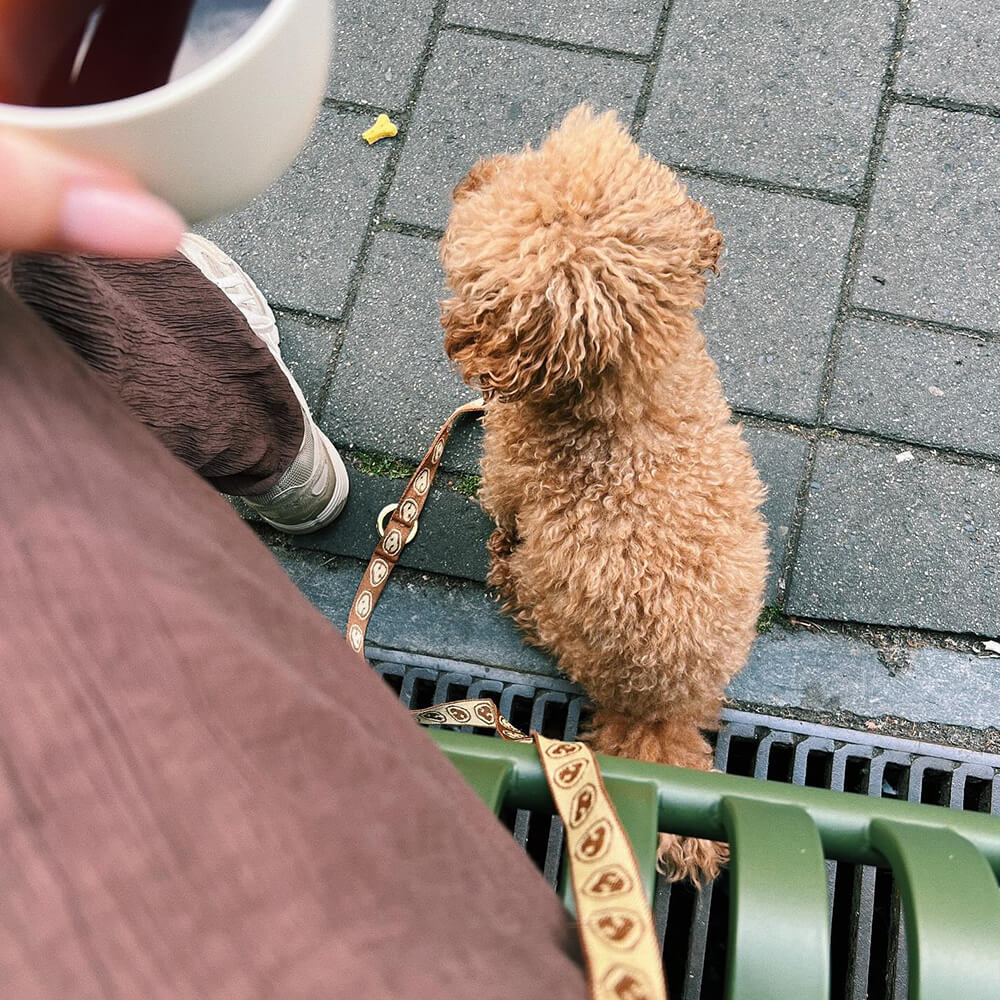 Furmey - Handsfree leash Latte Brown