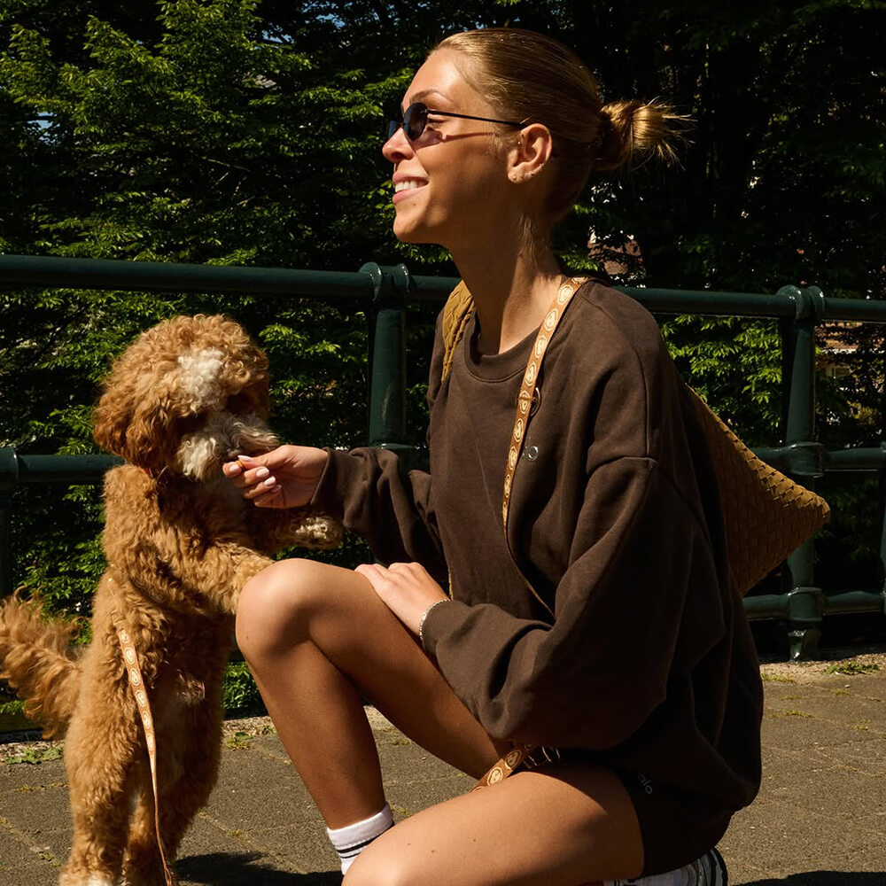 Furmey - Handsfree leash Latte Brown