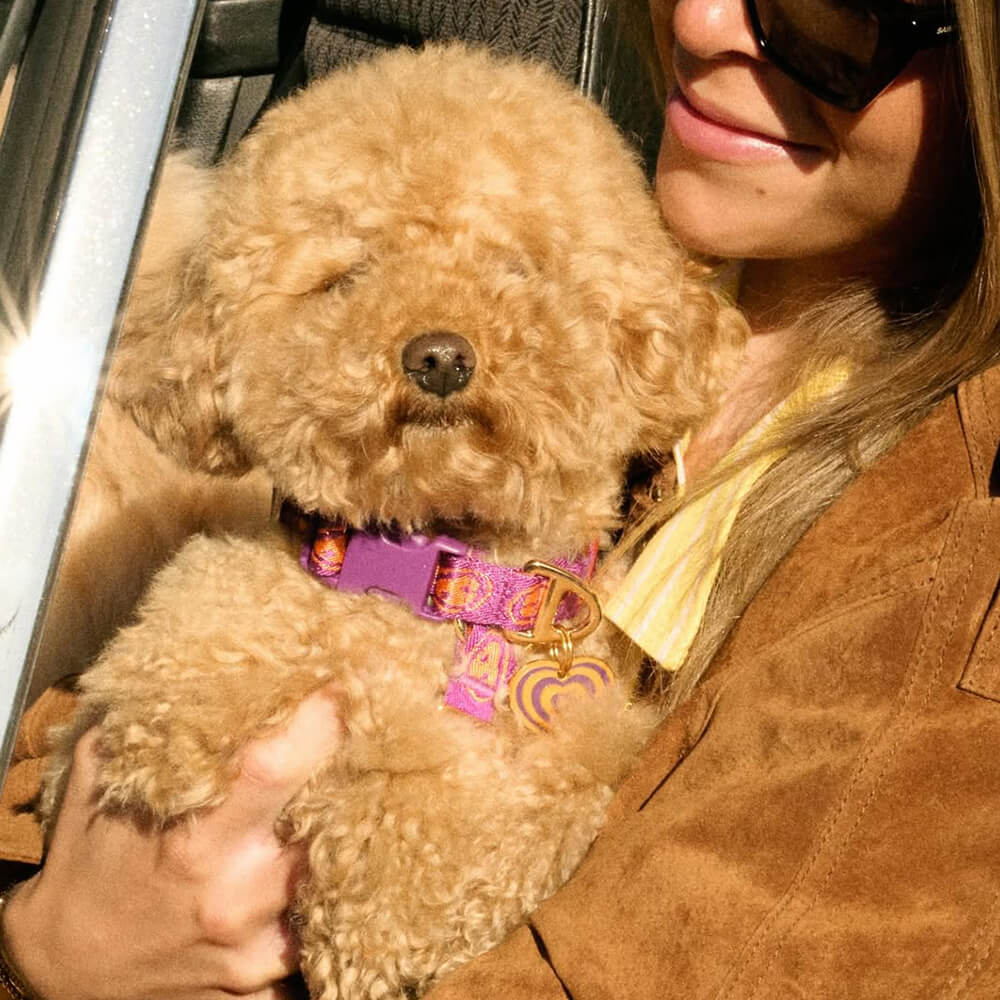 Furmey - Y-harnas Orange