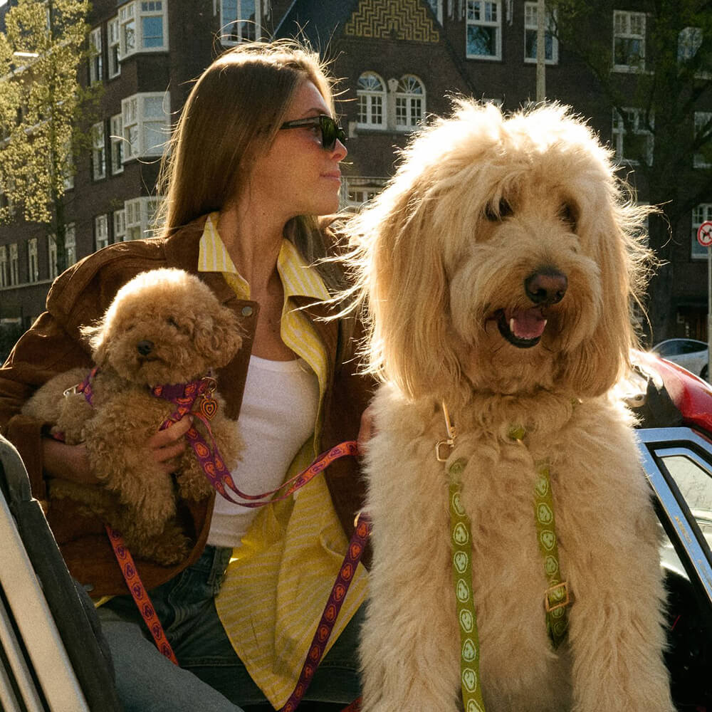 Furmey - Y-harnas Matcha Green