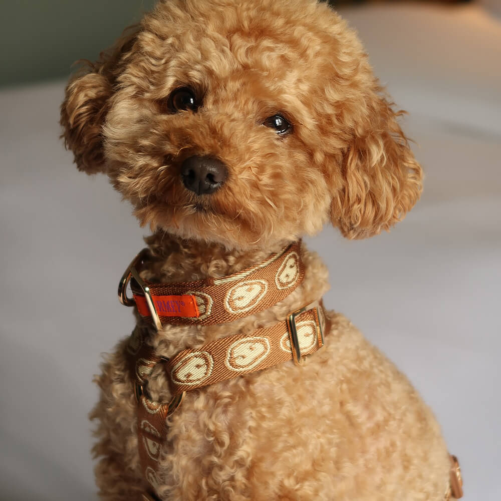 Furmey - Y-harnas Latte Brown