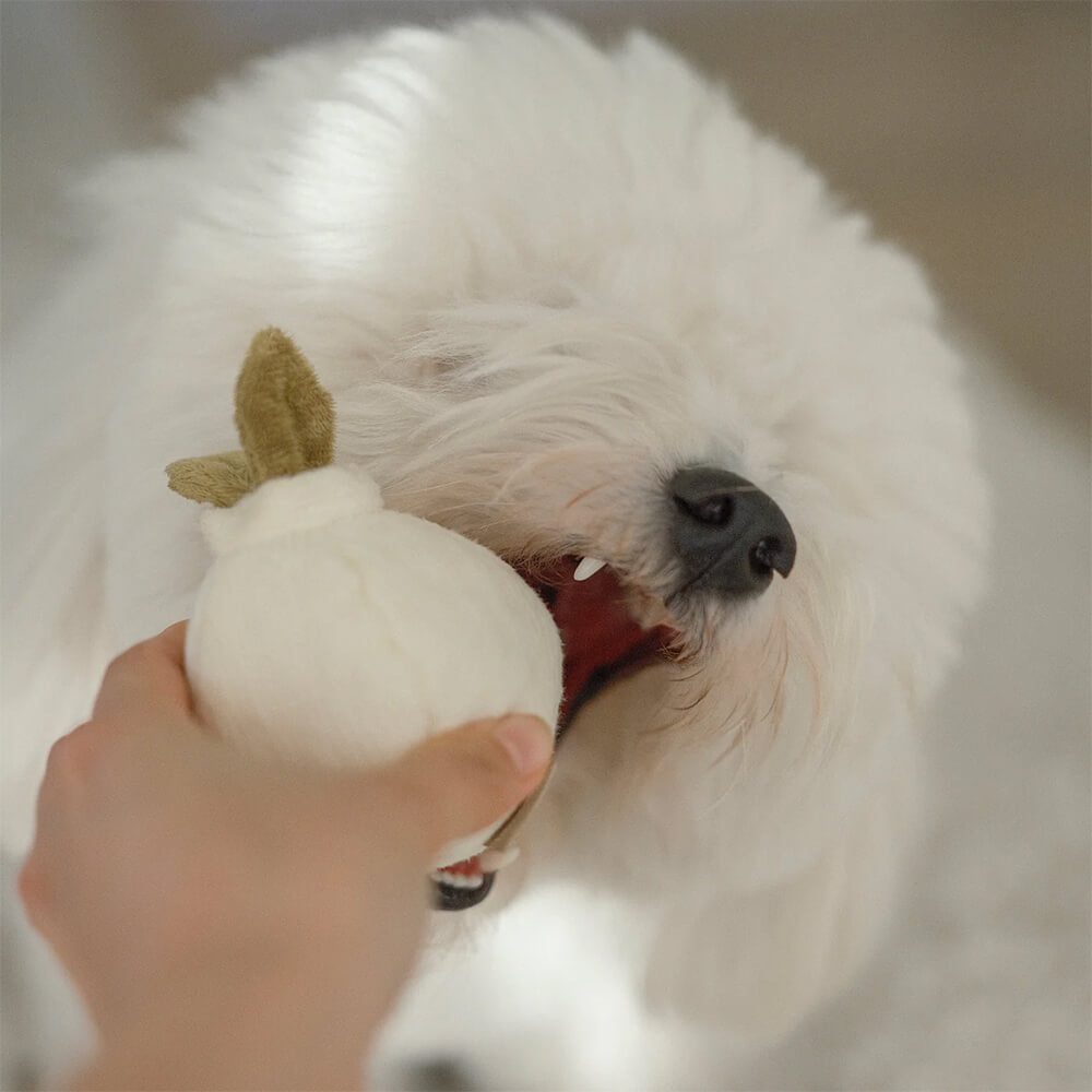 Lambwolf Collective - GARLIC POP (7,5 cm)