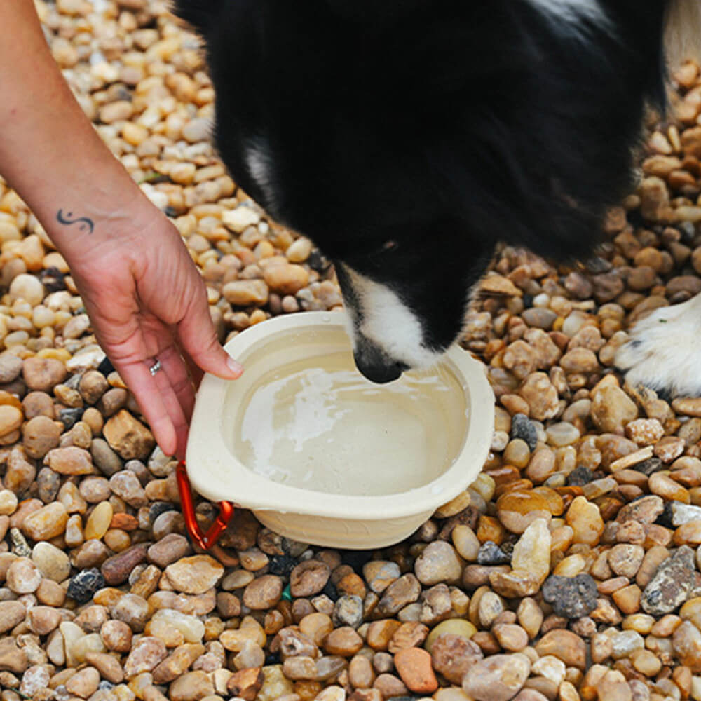 Zee.Dog - Go Bowl Biscotti