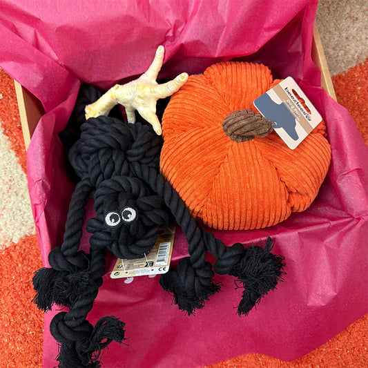 Pumpkin Party box