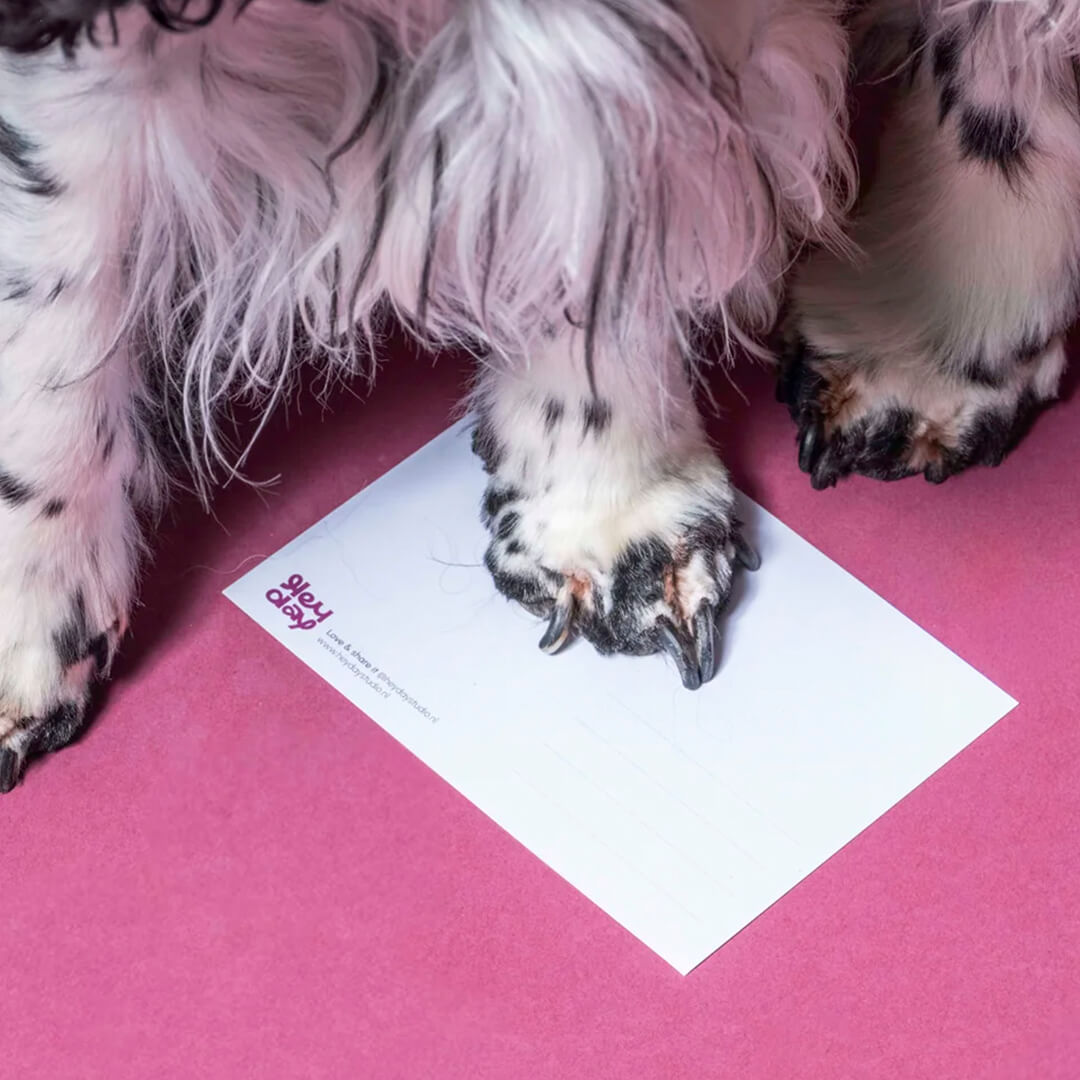 Heyday - Wenskaart - Er is er één harig