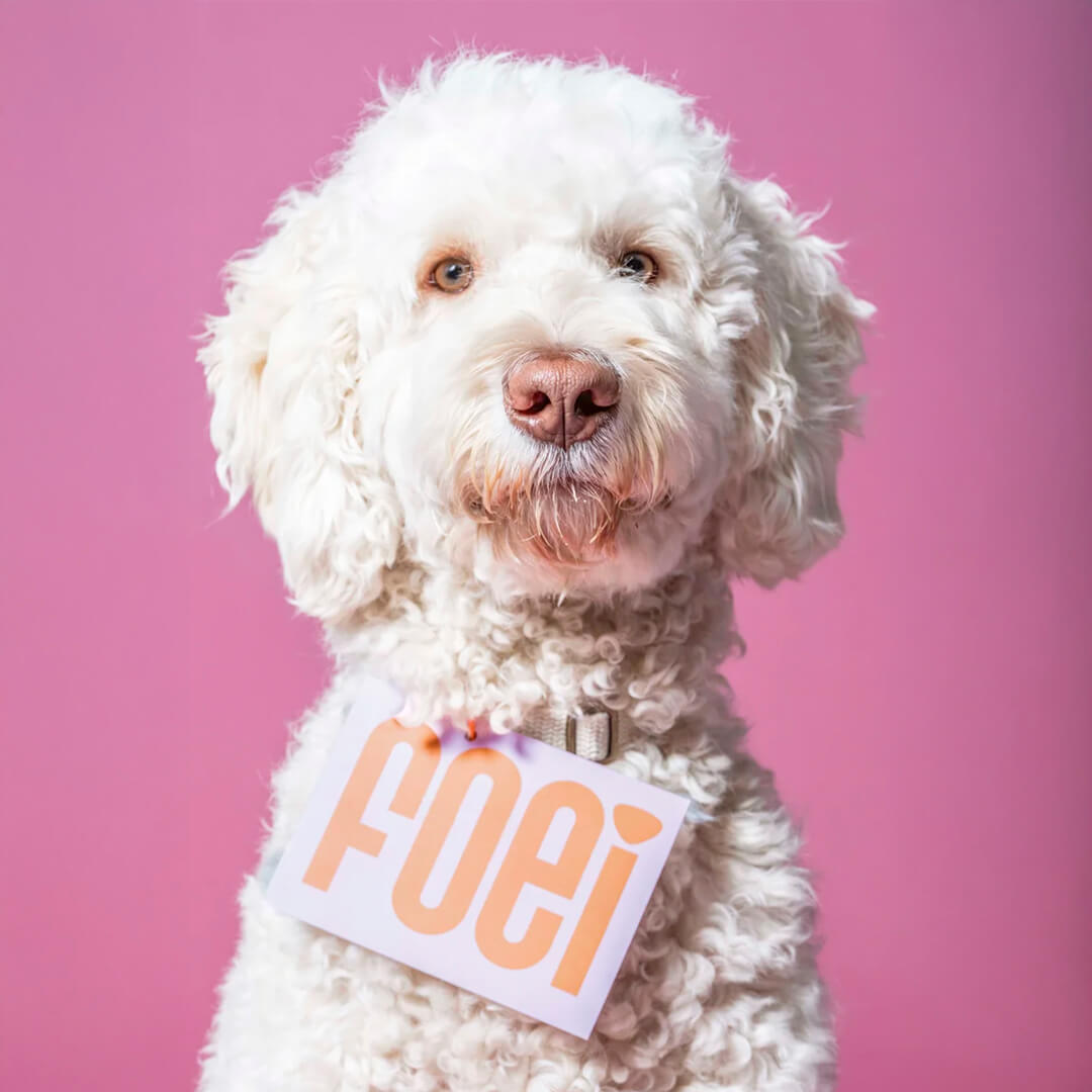 Heyday - Wenskaart - Foei