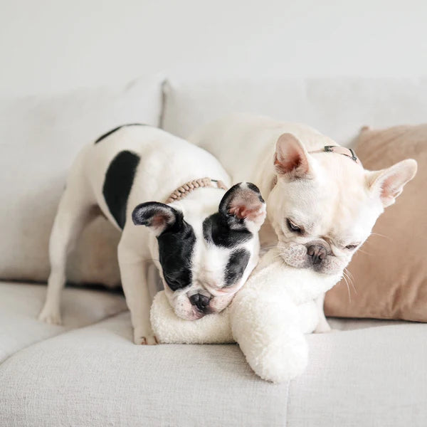 Lambwolf Collective - O BREUER Snow