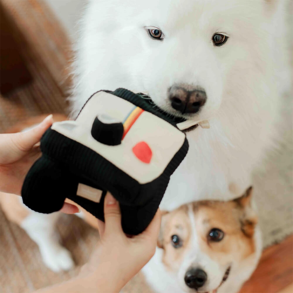 Lambwolf Collective - Instant Camera (15 cm)
