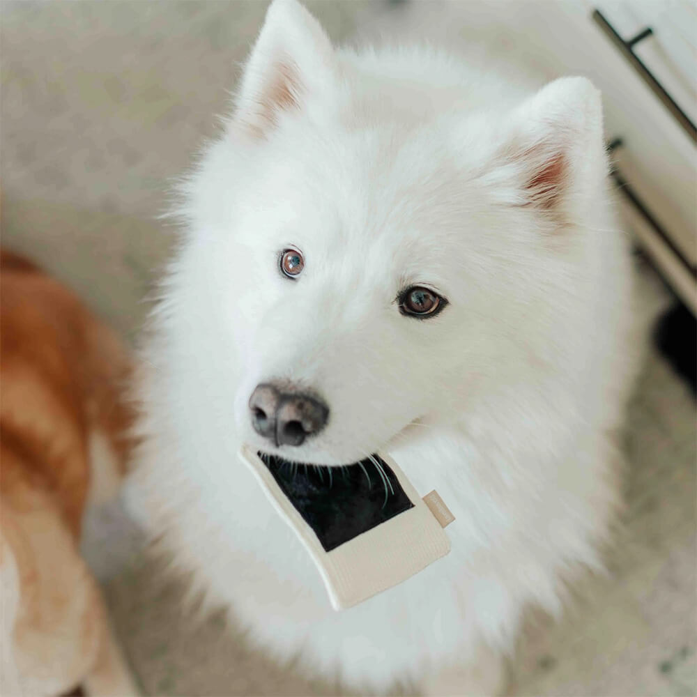 Lambwolf Collective - Instant Camera (15 cm)