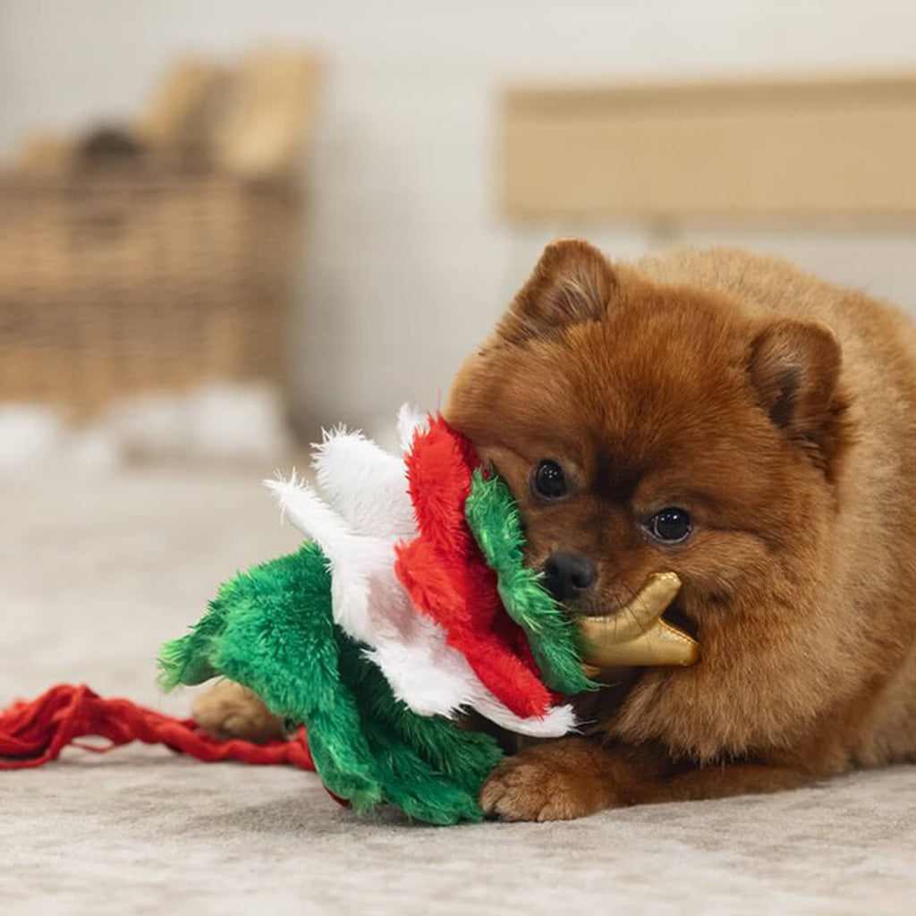 Beeztees - Kerstboom Spar (30 cm)