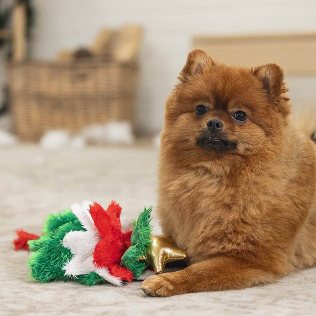 Beeztees - Kerstboom Spar (30 cm)