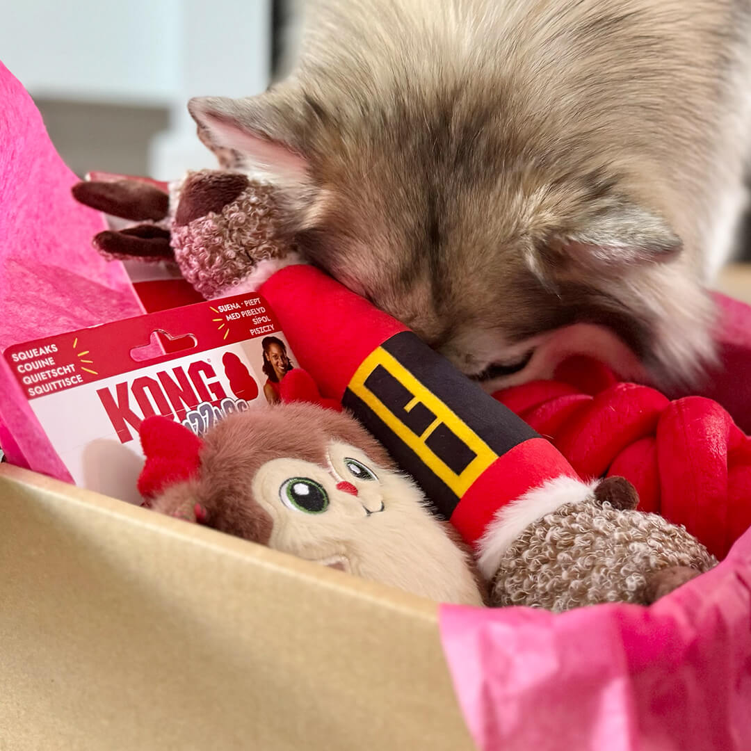 Kerstpakket - Loooong Christmas