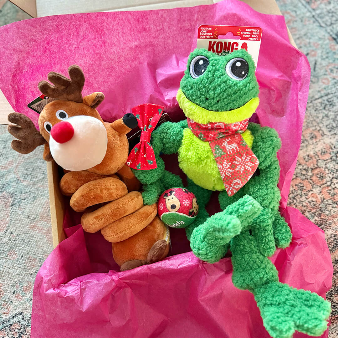 Forfait Noël - Hoppy Holiday