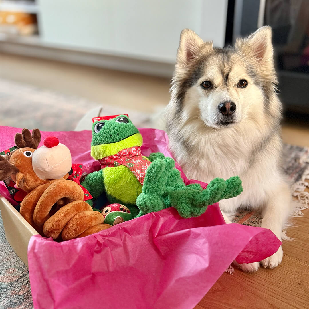 Forfait Noël - Hoppy Holiday